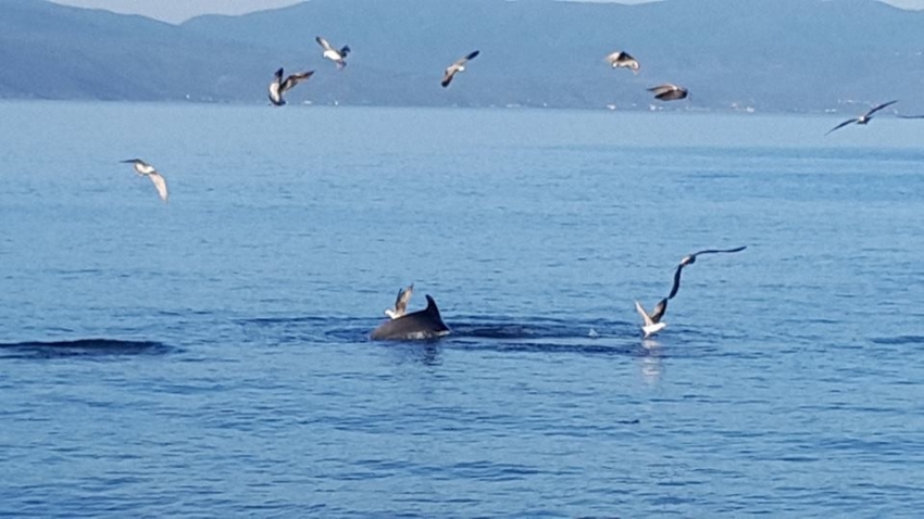 Yunuslar Mudanyalıları bu yıl da unutmadı