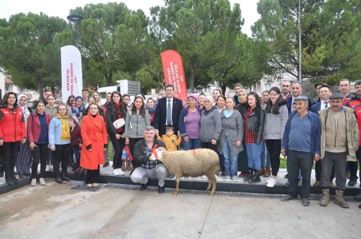 Kadın üreticilere 400 koyun ve 16 koç dağıtıldı