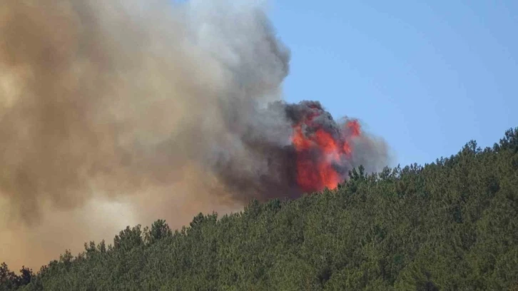 Kahramanmaraş’taki orman yangını söndürüldü
