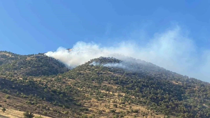 Kahramanmaraş’taki orman yangınına müdahale sürüyor
