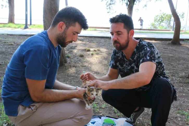 Kaleiçi’ndeki kedi ve köpeklere iç-dış parazit ilaçlaması
