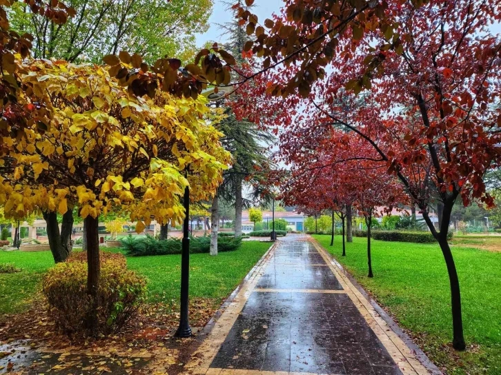 Kampüste sonbahar güzelliği
