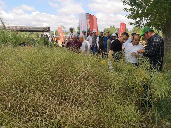 ‘Kanola ekelim yağ olsun bal olsun’
