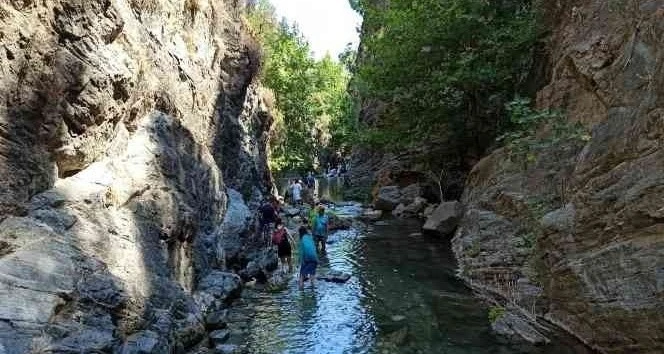 Kanyonda korkunç kaza
