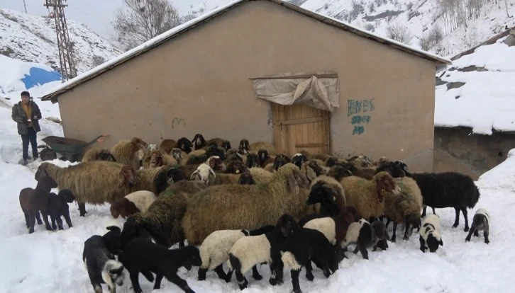 Kar çiftçinin umudunu yeşertti
