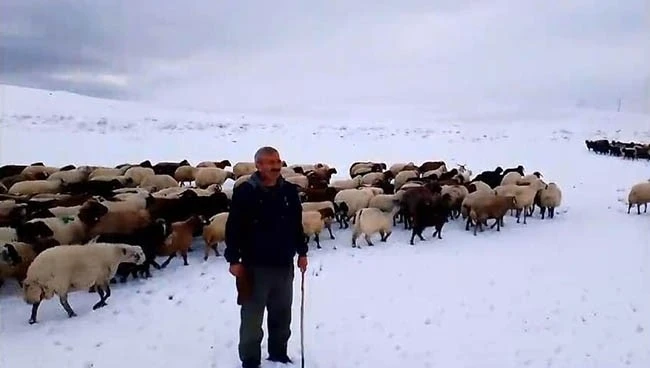 Kar yağışı besicilere zor anlar yaşattı
