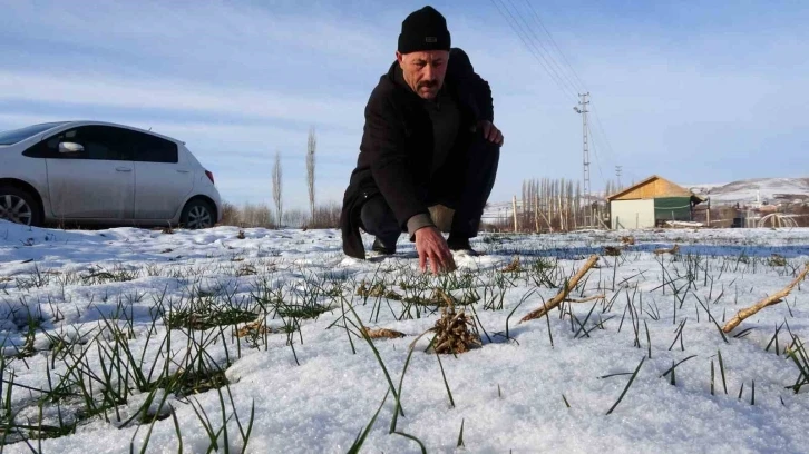 Kar yağışı hububat üreticilerini umutlandırdı
