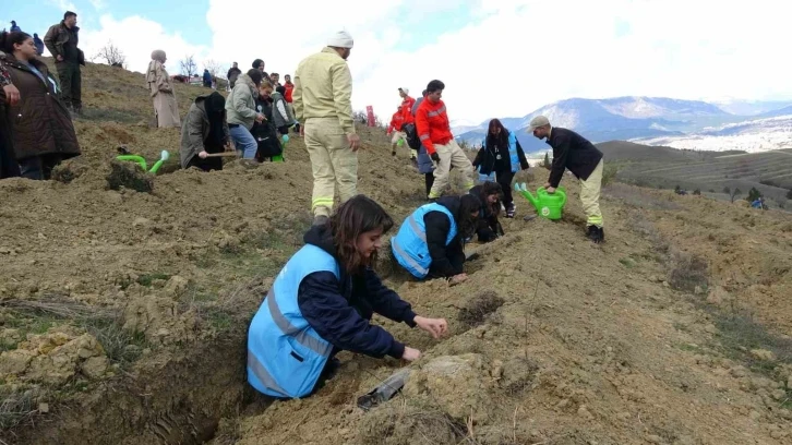 Karabük’te 3 bin 500 fidan toprakla buluşturuldu
