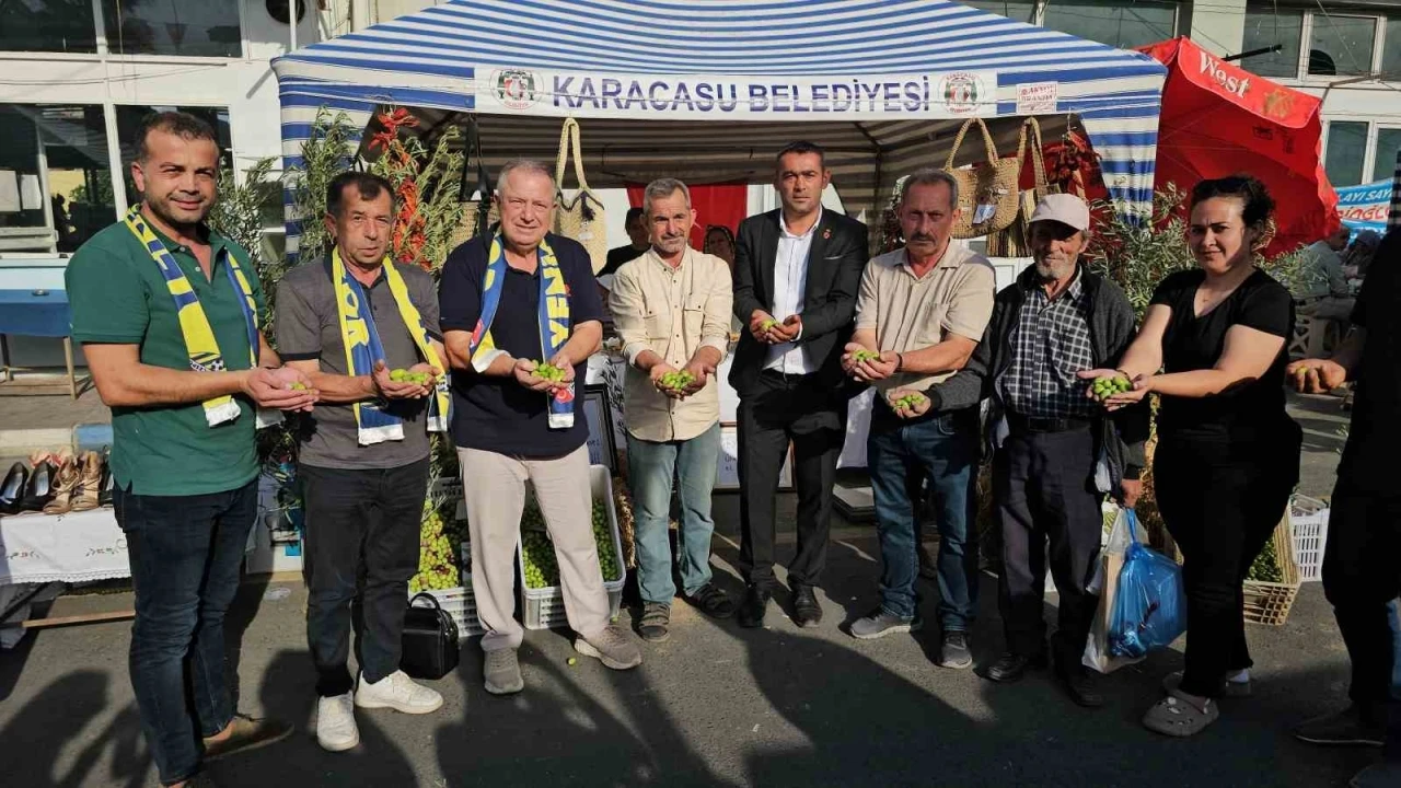 Karacasu Zeytini festivalle tanıtıldı
