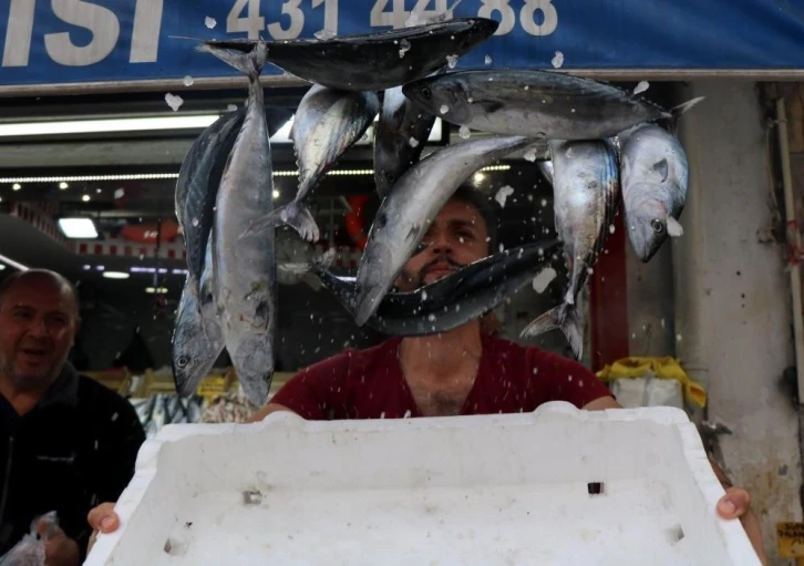 Karadeniz’de bu yıl palamut yok, hamsi var