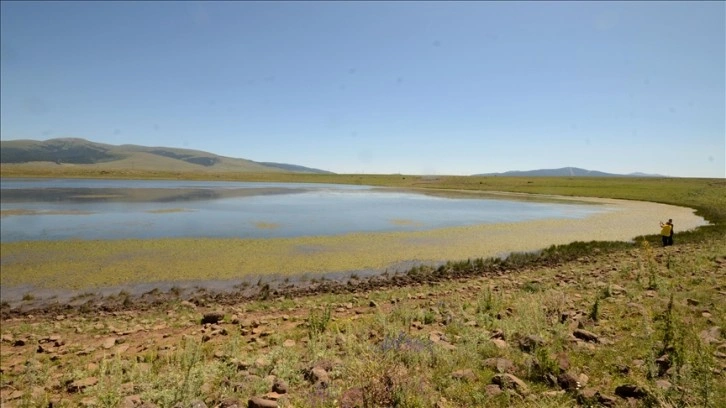 Kars'taki Asboğa Gölü yaklaşık 8 metre çekildi