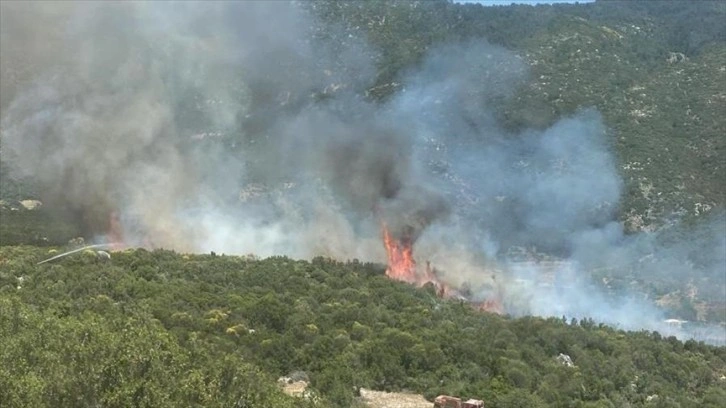 Kaş'ta çıkan orman yangını kontrol altına alındı