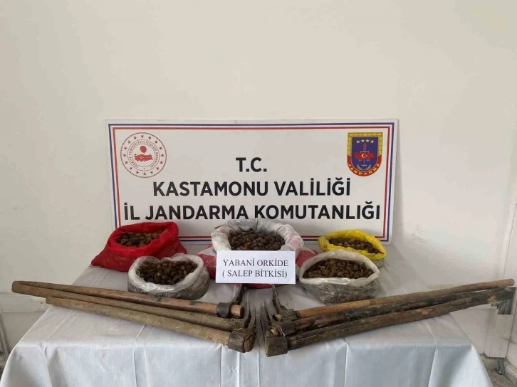 Kastamonu’da 22,5 kilogram sahleple yakalanan 3 kişiye ceza
