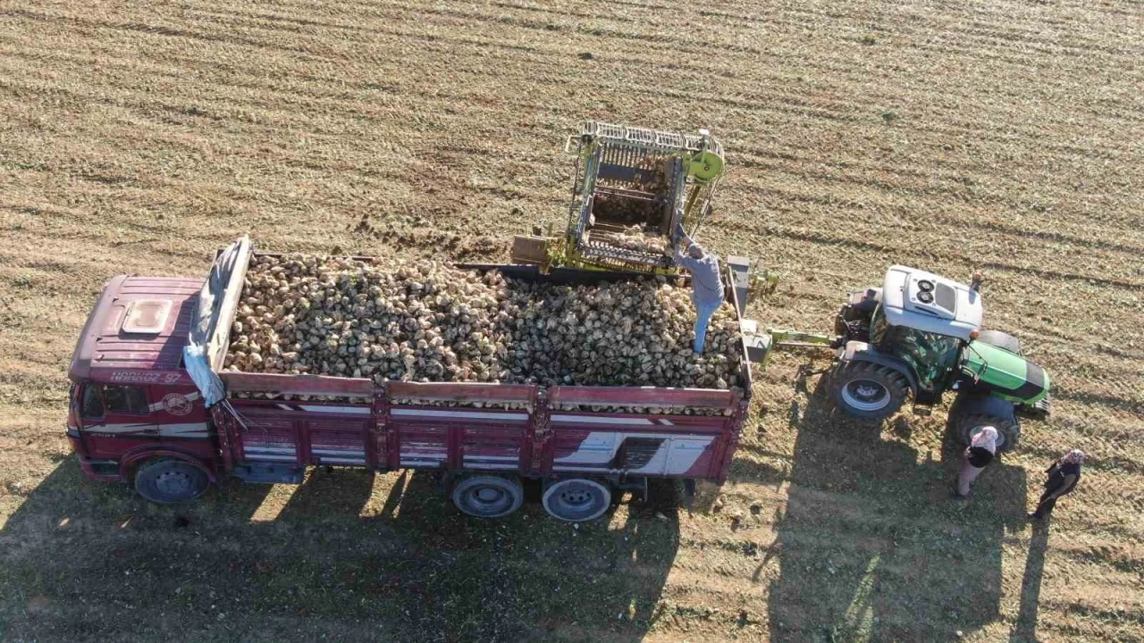 Kastamonu’da çiftçilerin zorlu pancar mesaisi devam ediyor
