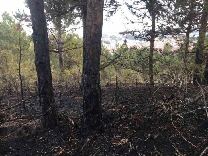 Kastamonu’da orman yangını söndürüldü, yüzlerce ağaç küle döndü