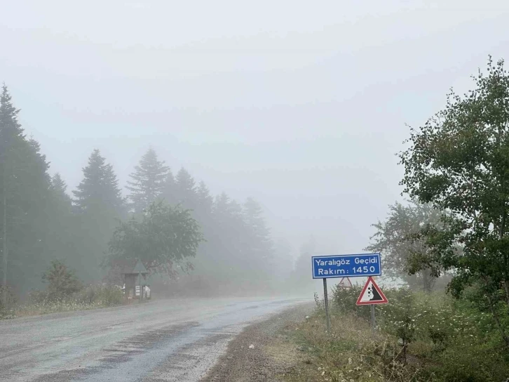 Kastamonu’nun yüksek kesimlerinde sis ve sağanak etkili oldu
