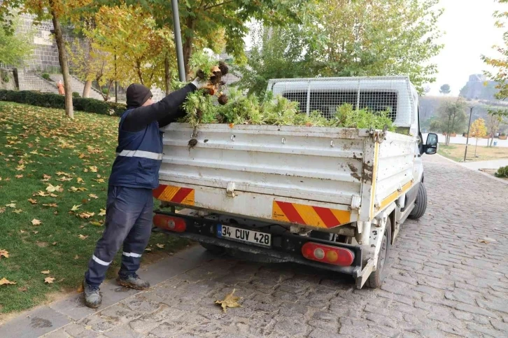 Kavşak ve refüjler 200 bin lale ile süslenecek