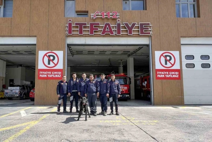 Kayalıklarda mahsur kalan köpeğin yardımına itfaiye ekipleri yetişti
