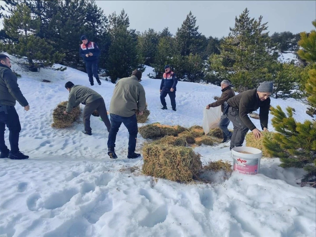 Kazdağları’nda yoğun kar yağışı nedeniyle yaban hayvanlarına yem bırakıldı