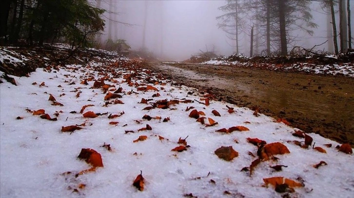 Kazdağları'na kar yağdı!