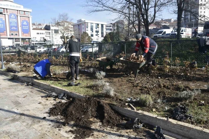 Kdz. Ereğli lavanta kokacak
