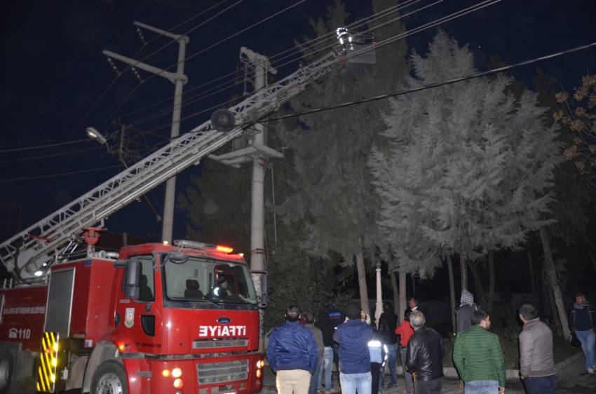 Kediyi kurtarmak için şehrin elektrikleri kesildi