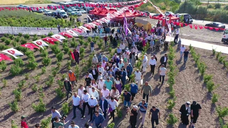 Keçiören’de Lavanta ve Gül Bahçesi’nde hasat yapıldı
