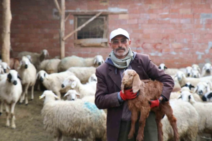 Kendisine oy vermeyen baldızı ve bacanağına şiir yazmıştı, film teklifi aldı
