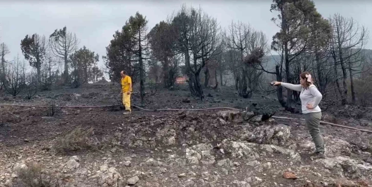 Kepsut’ta çıkan yangının ilerlemesi durdu, soğutma çalışmaları başlıyor
