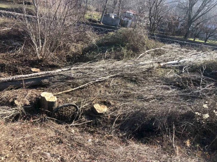 Kestiği ağaç üzerine devrilen adam hayatını kaybetti
