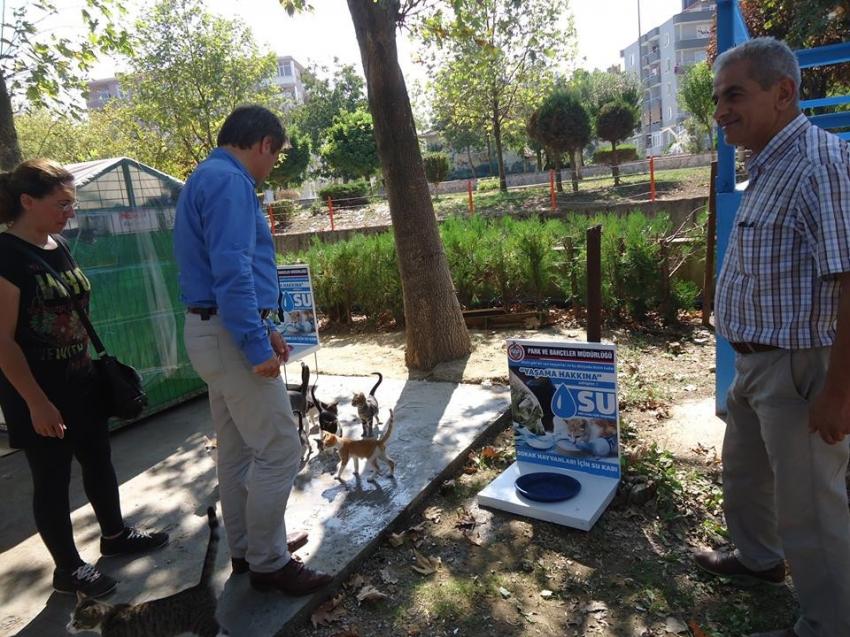 Orhangazi'de kedi evleri kışa hazır