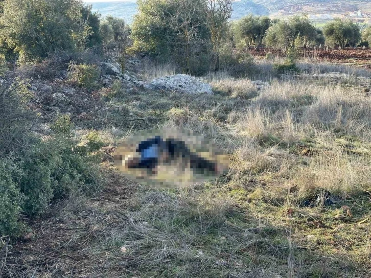 Kilis’te alzaymır hastası yaşlı adam ölü bulundu
