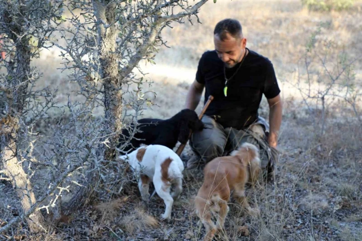 Kilosu 3 bin avro ve sadece özel eğitimli köpekler bulabiliyor
