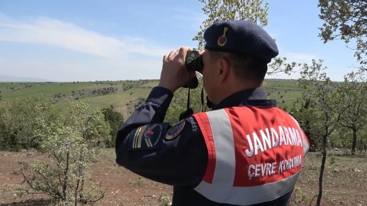 Kırıkkale’de saha denetimi yapan jandarma, avcıları bilgilendirdi
