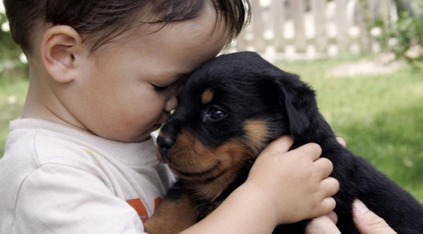 Köpekler çocuklarınızı koruyor