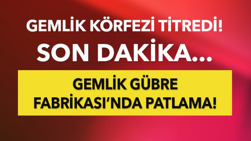 SON DAKİKA... GEMLİK GÜBRE'DEKİ PATLAMADAN DETAYLAR GELİYOR