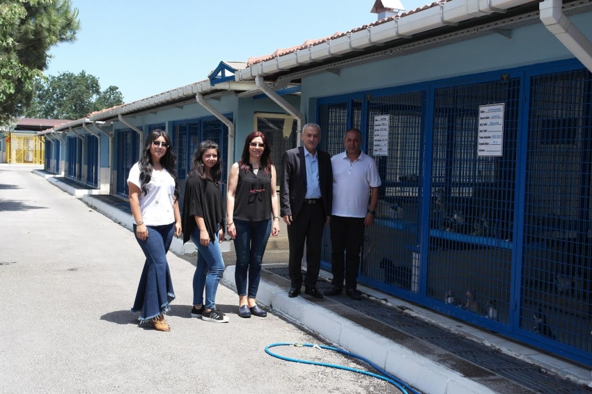 Köşebaşı’nın artan yemekleri Nilüfer Hayvan Barınağı’na