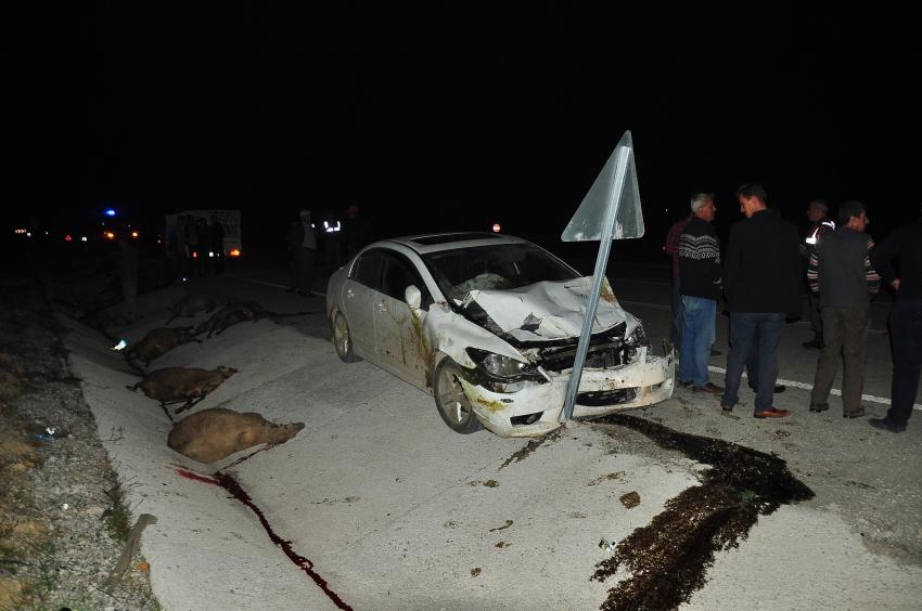 Bursa'da otomobil koyun sürüsünü biçti