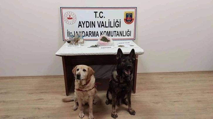 Koçarlı’da uyuşturucu satıcılarına operasyon
