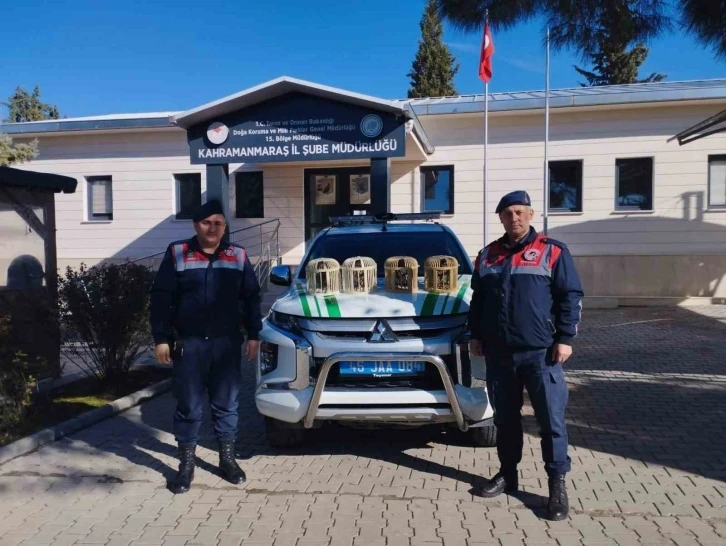 Konteynerde keklik besleyen şahıs yakalandı
