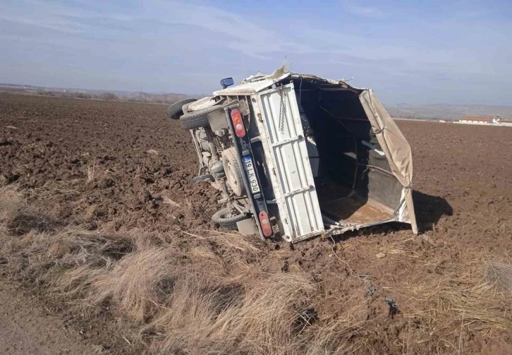 Kontrolden çıkan kamyonet tarlaya uçtu: 1 yaralı
