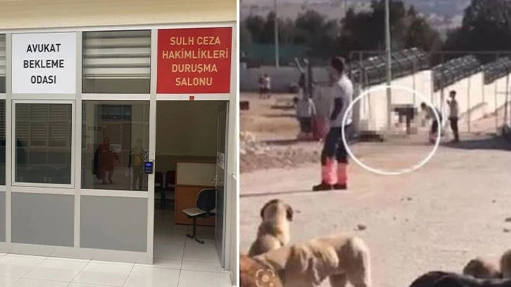 Konya'da köpekleri kürekle katleden canileri savunacak avukat bulunamadı