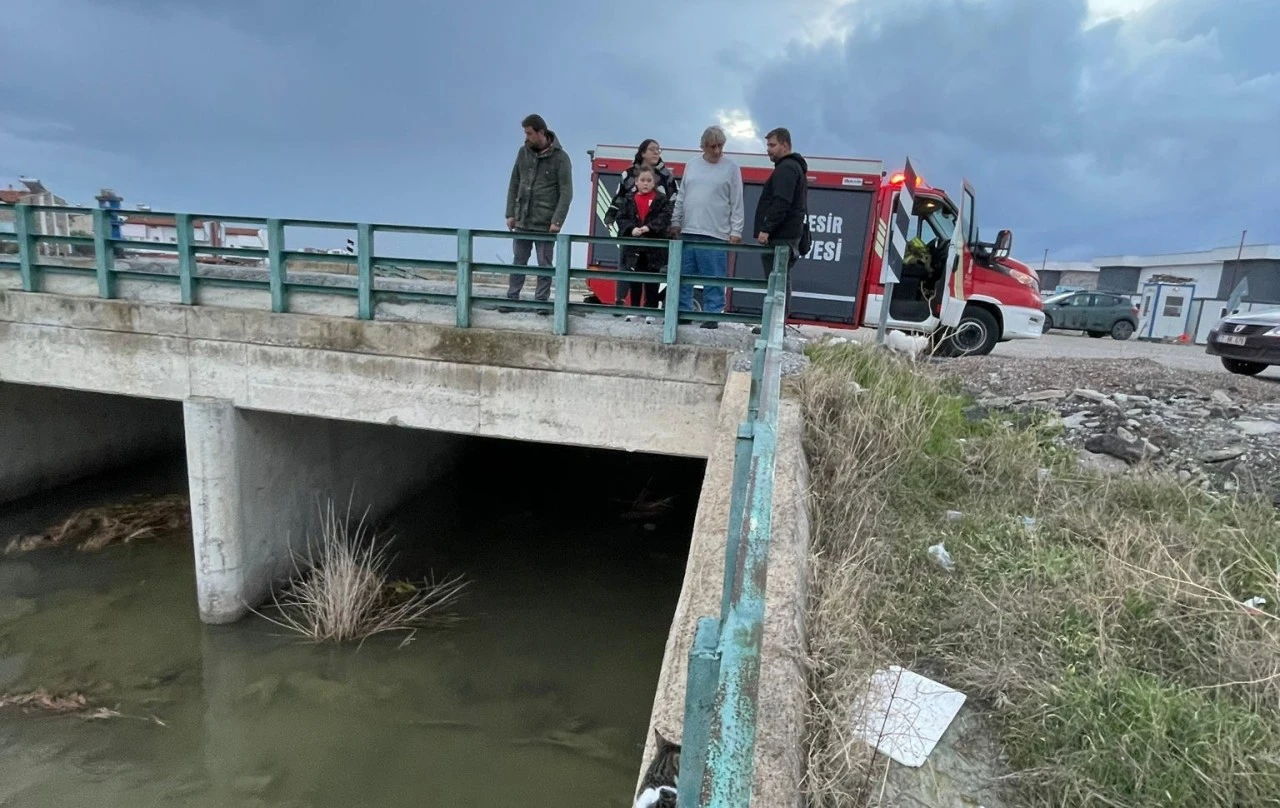 Köprü altında mahsur kalan kediyi itfaiye kurtardı