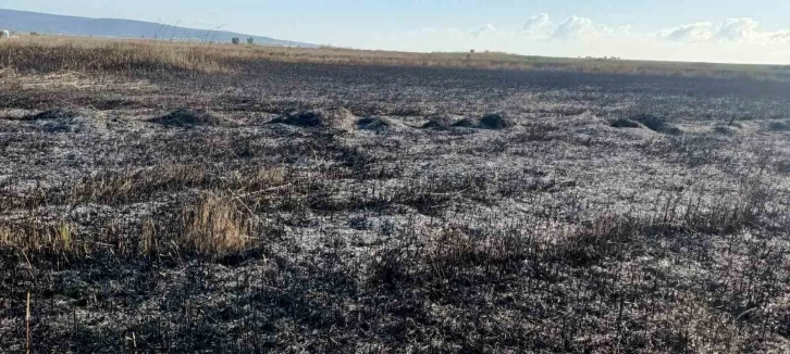 Koruma altındaki Göksu Deltası’nda çıkan yangın kendiliğinden söndü
