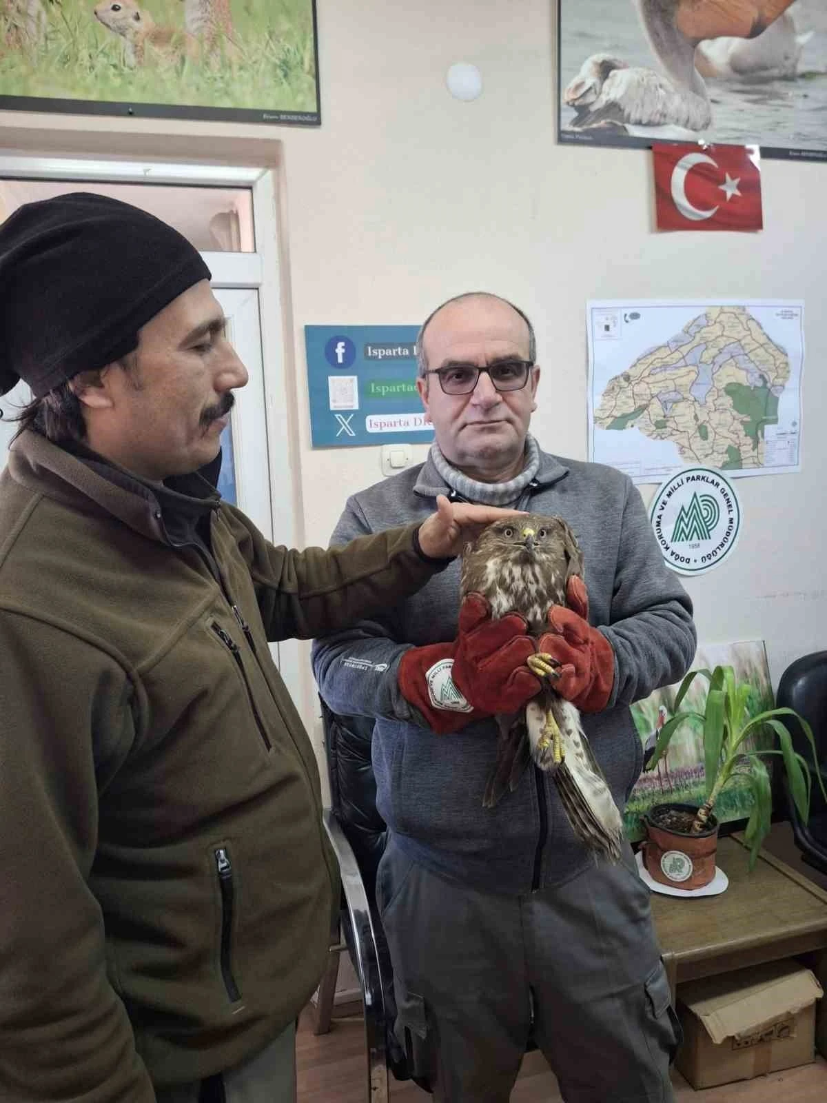 Kovada Gölü’nde yaralı bulunan şahinler tedavi altına alındı
