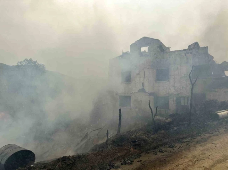 Köyde çıkan yangında 3 ev alevlere teslim oldu
