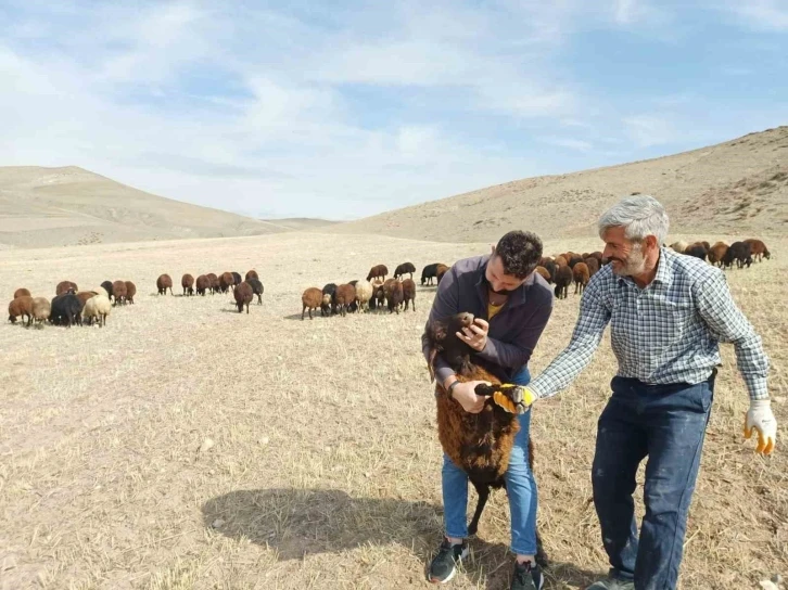 “Köyümde Yaşamak İçin Bir Sürü Nedenim Var”  projesi yeniden başladı
