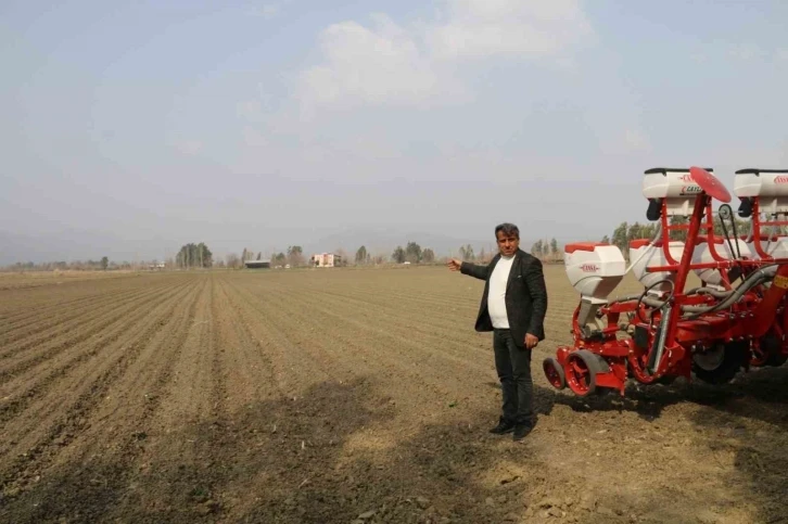 Kozan Ziraat Odası Başkanı Şahbazoğlu: "Mısırda verim düşüklüğü yaşanabilir"
