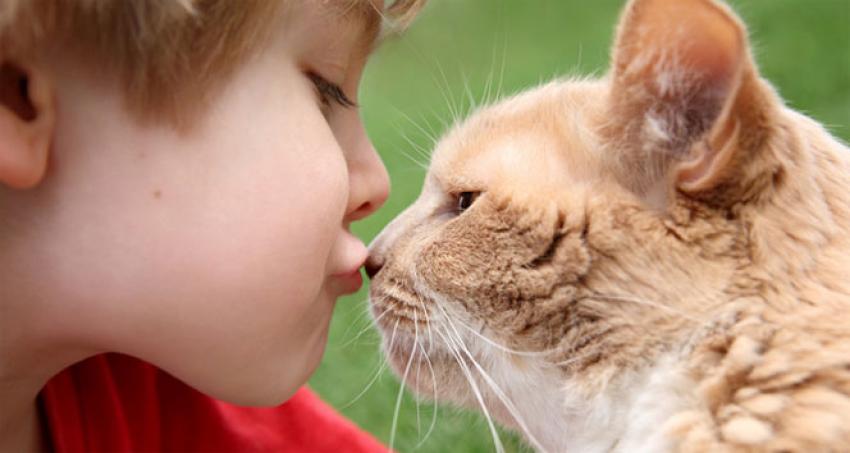 Küçük yaşta kedi beslemek...