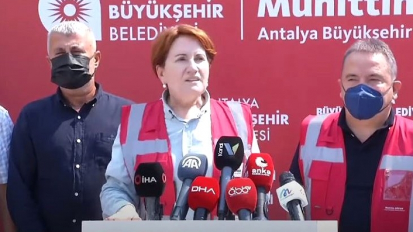 Meral Akşener'den ormanları yakanlara karşı öneri: Terör üyeliği ile yargılansınlar